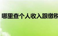 哪里查个人收入跟缴税（哪里查个人征信啊）