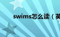 swims怎么读（英语swims怎么读）