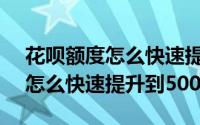 花呗额度怎么快速提升到50000（花呗额度怎么快速提升到5000）