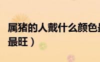 属猪的人戴什么颜色最旺（属猪的人戴啥颜色最旺）