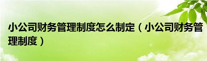 小公司财务管理制度怎么制定（小公司财务管理制度）