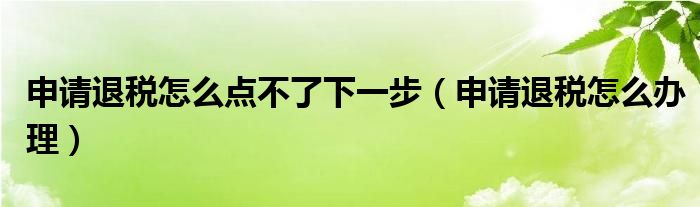 申请退税怎么点不了下一步（申请退税怎么办理）