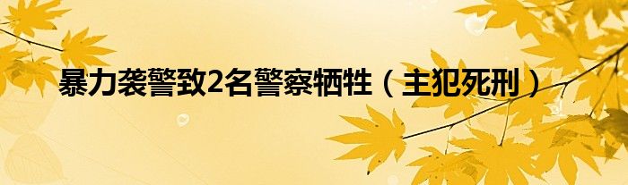 暴力袭警致2名警察牺牲（主犯死刑）