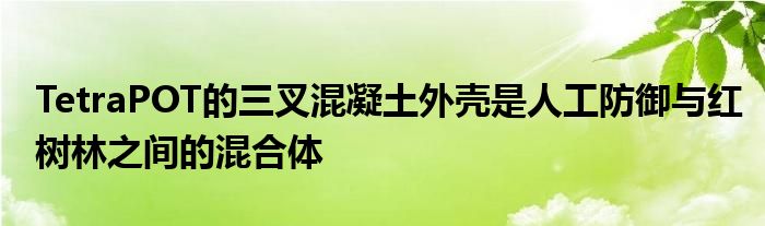 TetraPOT的三叉混凝土外壳是人工防御与红树林之间的混合体