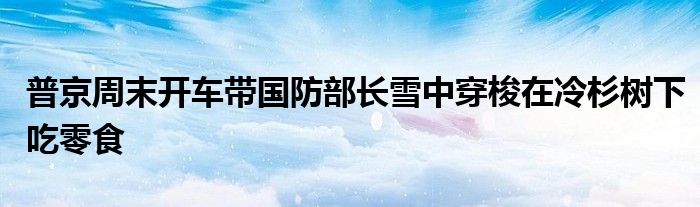 普京周末开车带国防部长雪中穿梭在冷杉树下吃零食