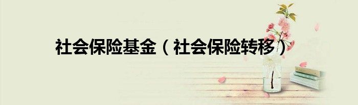 社会保险基金（社会保险转移）