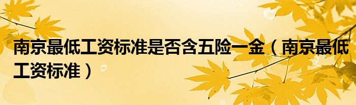 南京最低工资标准是否含五险一金（南京最低工资标准）