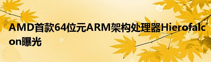 AMD首款64位元ARM架构处理器Hierofalcon曝光