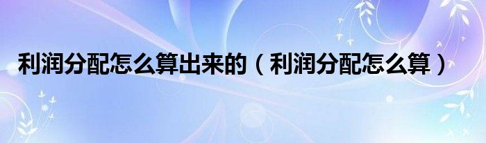 利润分配怎么算出来的（利润分配怎么算）
