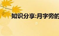 知识分享:月字旁的字大多和什么有关
