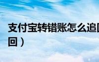 支付宝转错账怎么追回（支付宝转错账怎么追回）