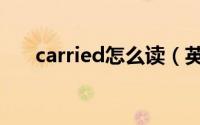 carried怎么读（英语carried怎么读）