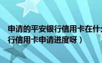 申请的平安银行信用卡在什么地方查进度（如何查询平安银行信用卡申请进度呀）