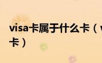 visa卡属于什么卡（visa信用卡是什么类型的卡）
