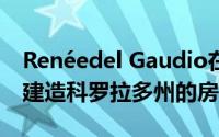 Renéedel Gaudio在森林大火烧毁的土地上建造科罗拉多州的房屋