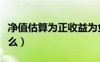 净值估算为正收益为负（净值估算负值说明什么）