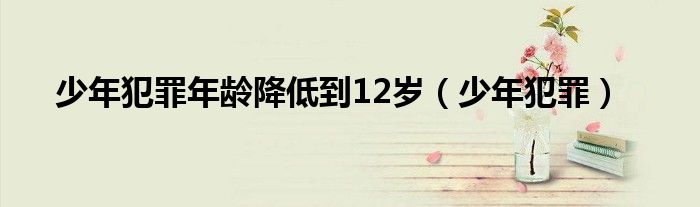 少年犯罪年龄降低到12岁（少年犯罪）