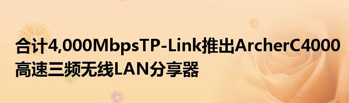 合计4,000MbpsTP