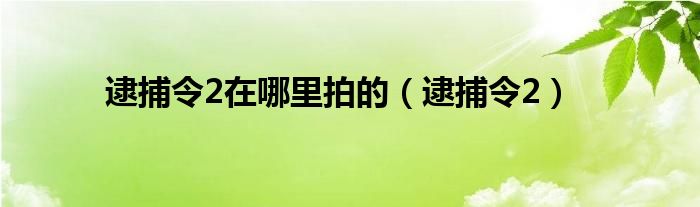 逮捕令2在哪里拍的（逮捕令2）