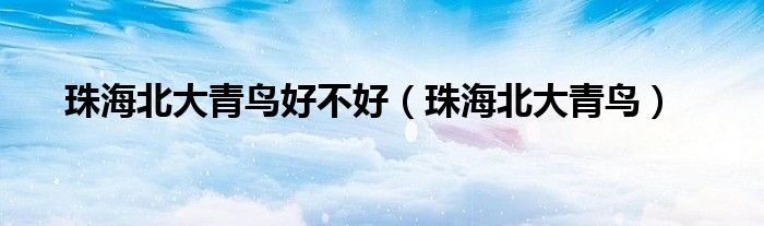 珠海北大青鸟好不好（珠海北大青鸟）
