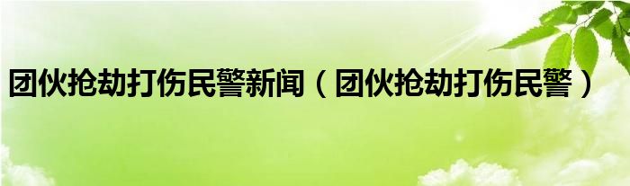 团伙抢劫打伤民警新闻（团伙抢劫打伤民警）
