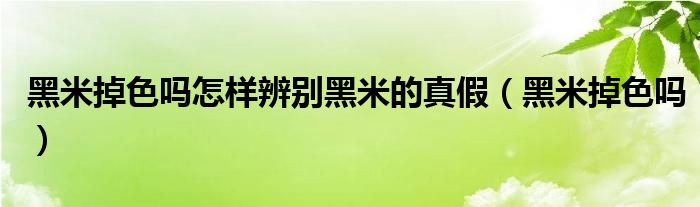 黑米掉色吗怎样辨别黑米的真假（黑米掉色吗）