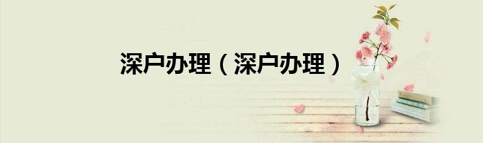 深户办理（深户办理）