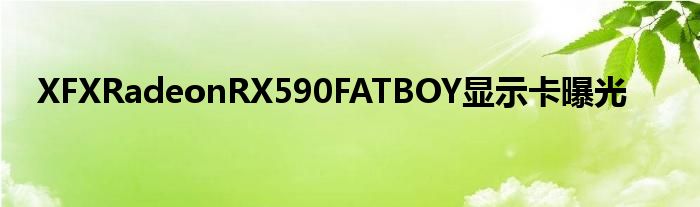XFXRadeonRX590FATBOY显示卡曝光