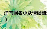 洋气网名小众情侣动漫（小众好听的情侣网名）