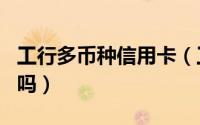 工行多币种信用卡（工行多币种信用卡是visa吗）