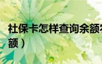 社保卡怎样查询余额农村（社保卡怎样查询余额）