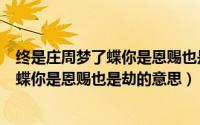 终是庄周梦了蝶你是恩赐也是劫是什么意思（终是庄周梦了蝶你是恩赐也是劫的意思）