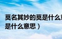 莫名其妙的莫是什么意思（词语莫名其妙的莫是什么意思）