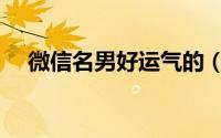 微信名男好运气的（男人旺财微信昵称）