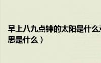 早上八九点钟的太阳是什么意思（早上八九点钟的太阳的意思是什么）