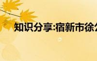 知识分享:宿新市徐公店古诗意思是什么