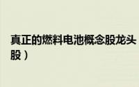 真正的燃料电池概念股龙头（哪几只是真正的燃料电池概念股）