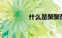 什么是聚聚酯Varidine？