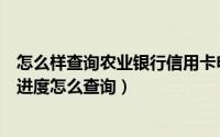 怎么样查询农业银行信用卡申请进度（中国农业银行信用卡进度怎么查询）