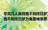 毕竟几人真得鹿不知终日梦为鱼是什么意思（毕竟几人真得鹿不知终日梦为鱼是啥意思）