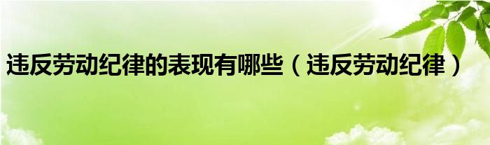 违反劳动纪律的表现有哪些（违反劳动纪律）