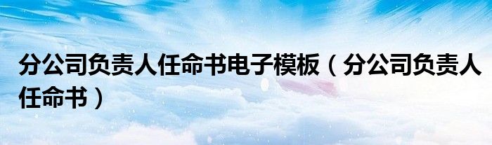 分公司负责人任命书电子模板（分公司负责人任命书）