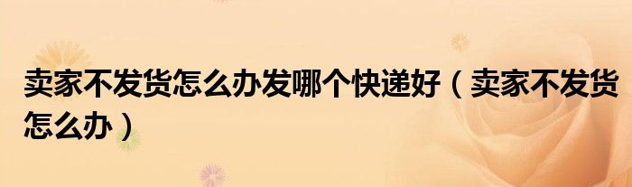 卖家不发货怎么办发哪个快递好（卖家不发货怎么办）