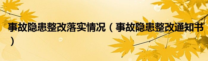 事故隐患整改落实情况（事故隐患整改通知书）