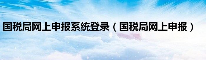 国税局网上申报系统登录（国税局网上申报）