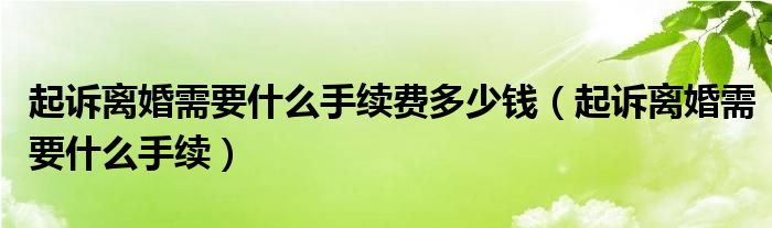 起诉离婚需要什么手续费多少钱（起诉离婚需要什么手续）