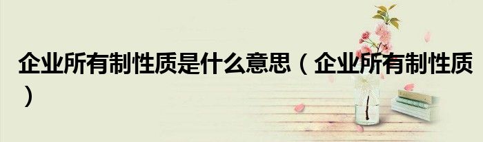 企业所有制性质是什么意思（企业所有制性质）