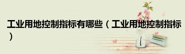 工业用地控制指标有哪些（工业用地控制指标）
