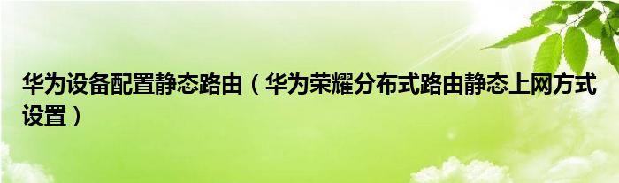 华为设备配置静态路由（华为荣耀分布式路由静态上网方式设置）