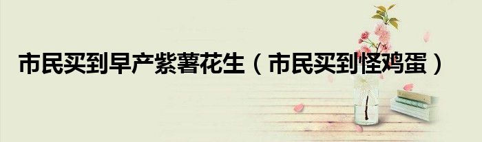 市民买到早产紫薯花生（市民买到怪鸡蛋）